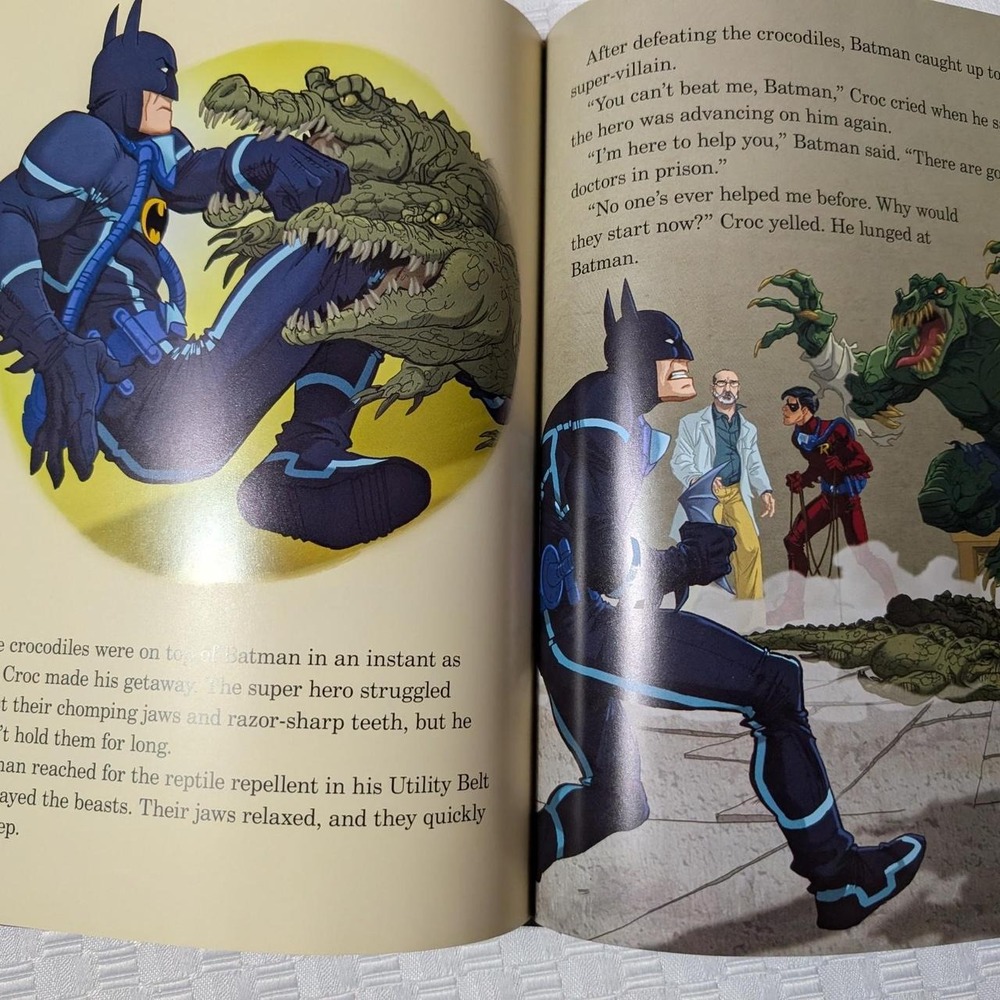 Batman Book - Picture 3 of 4